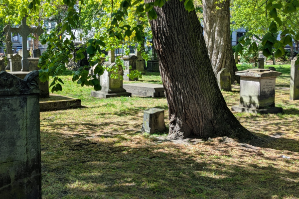 PXL_20260501_131721926